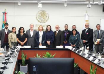 Senadora llama a fortalecer tecnología en la industria energética