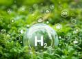 México inaugura su primera planta de hidrógeno verde México inaugura su primera planta de hidrógeno verde