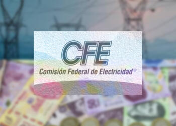 CFE abre inversión al público; sé socio con tan solo 100 pesos