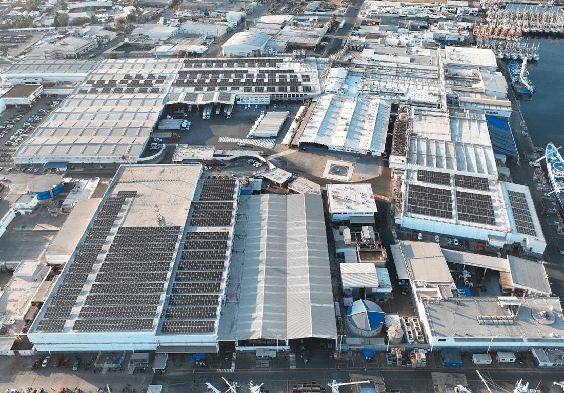 DM Solar regresa al mercado mexicano con energía renovada