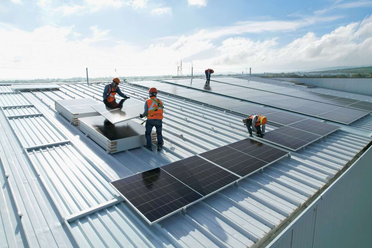 CNE podrá cancelar permisos de autoconsumo eléctrico