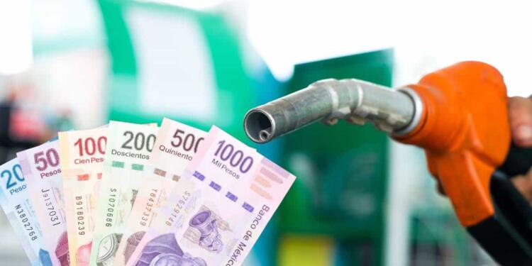 Gasolina a 24 pesos tendría que subir en el futuro: Lejar Innovaciones