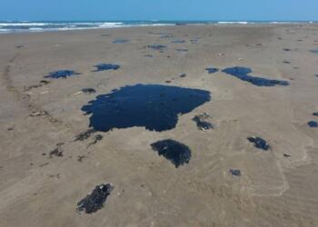 Operación en ducto de PEMEX en febrero coincide con origen del derrame: CEMDA