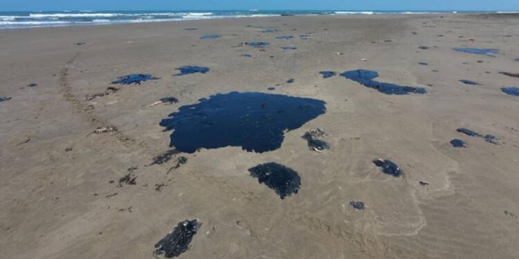 Operación en ducto de PEMEX en febrero coincide con origen del derrame: CEMDA