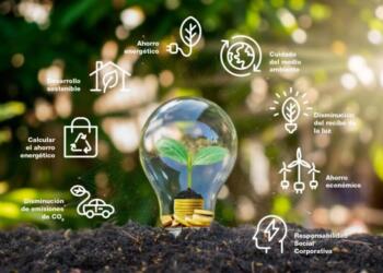 Día de la Eficiencia Energética: 6 formas de ahorrar energía en casa