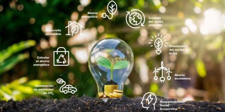 Día de la Eficiencia Energética: 6 formas de ahorrar energía en casa