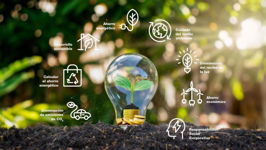 Día de la Eficiencia Energética: 6 formas de ahorrar energía en casa