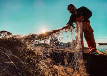 Apoyan a pescadores tras derrame en Golfo