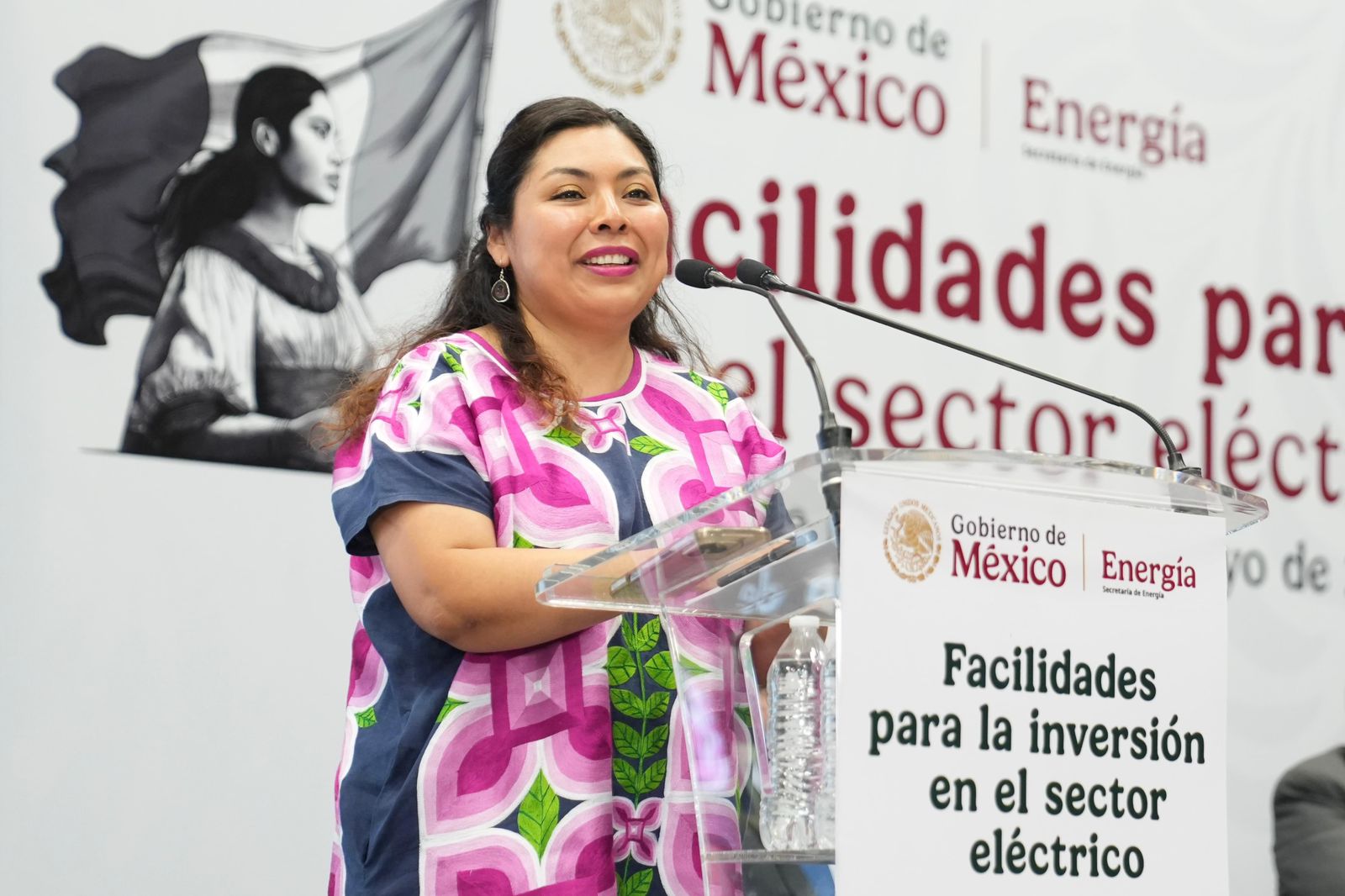Sener abre puerta a privados para desarrollar renovables por 740 mil mdp