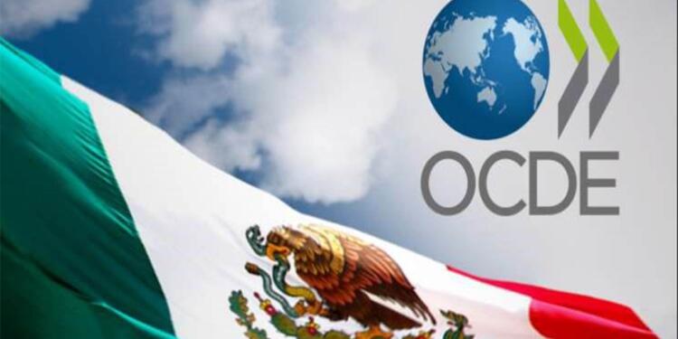 México debe recortar subsidios a los energéticos: OCDE