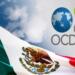 México debe recortar subsidios a los energéticos: OCDE México debe recortar subsidios a los energéticos: OCDE