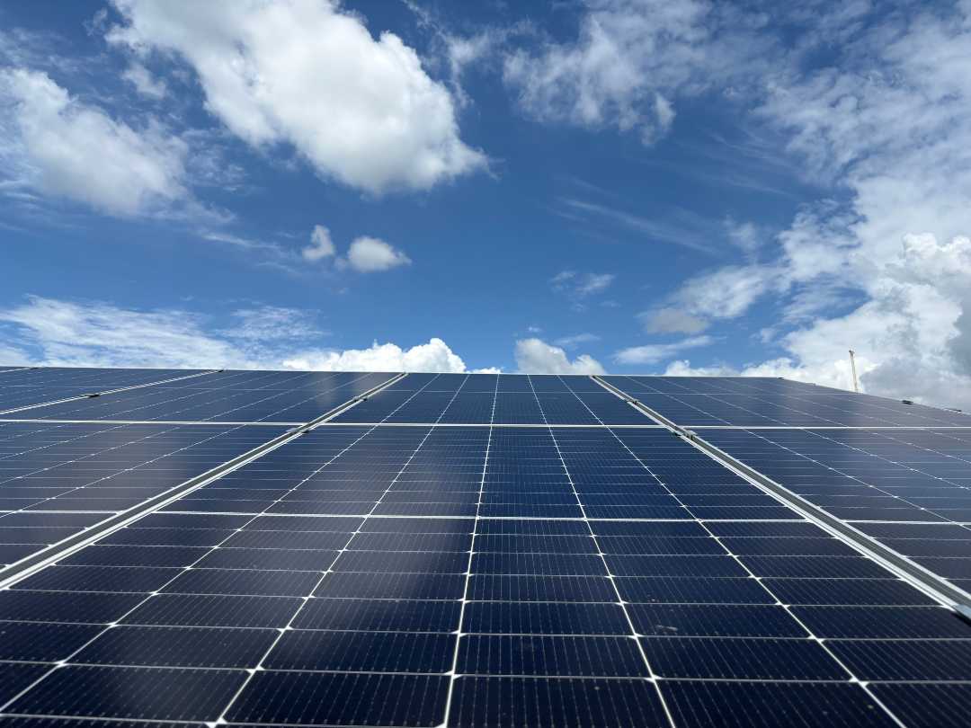 CFE Calificados incorpora el proyecto La Esperanza Solar