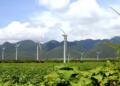 CFE coloca 20 mil mdp para infraestructura eléctrica